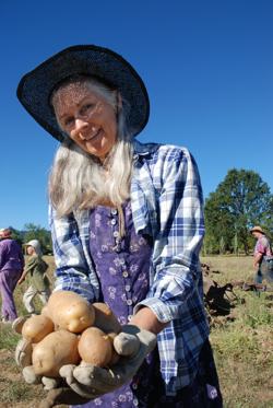 Willits Potato Harvest